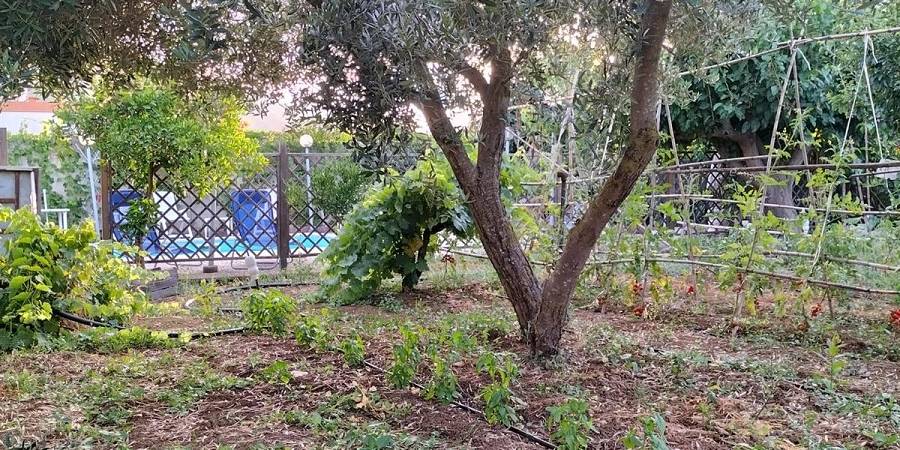 Appartamenti | Case | Ville | Attico in vendita e affitto a Palermo