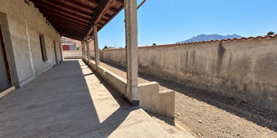 Appartamenti | Case | Ville | Attico in vendita e affitto a Palermo