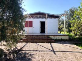 Altavilla Milicia (Palermo) Vendita Villa singola